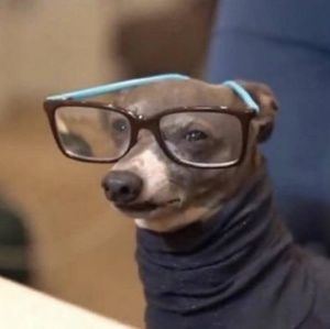 Meet your Posher, Miller